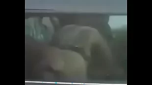 Te gusta conducir? Pues aqui te wheezles chupan mientras